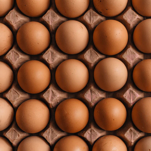 eggs