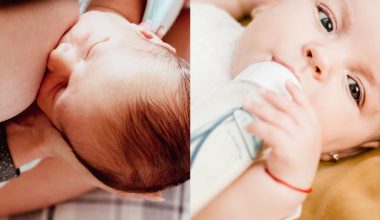 breastfeeding vs bottle feeding