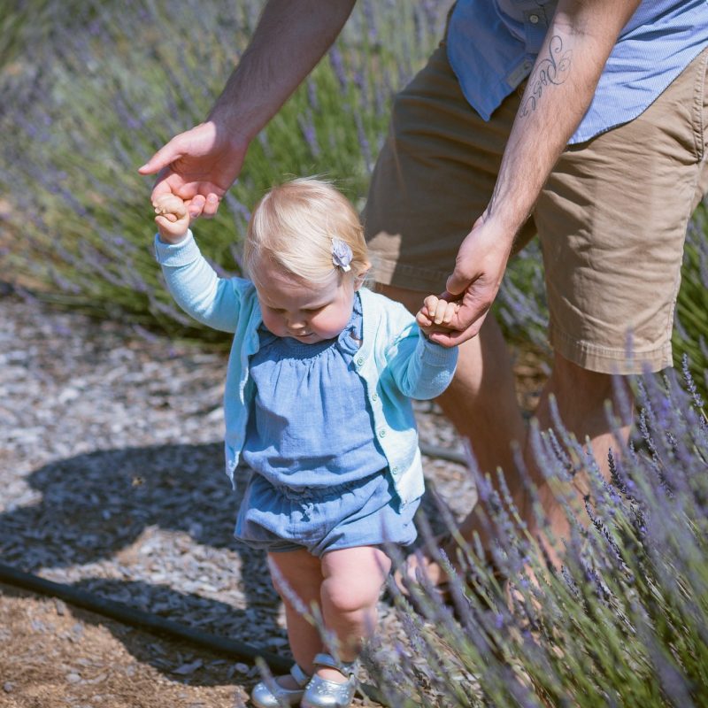 When Do Babies Start Walking? (A Baby Walking Timeline)