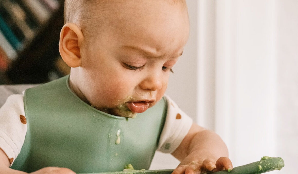 baby solid foods